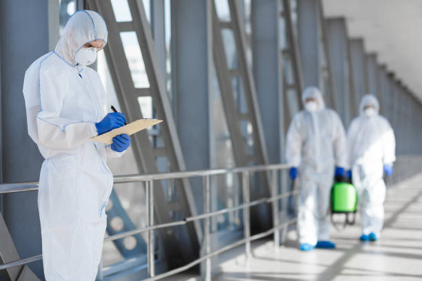 Best Mold Damage Restoration  in Kennewick, WA