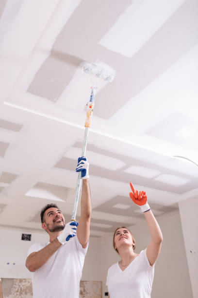  Kennewick, WA Mold Removal Pros